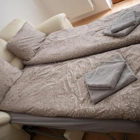 Csalogány Apartman *